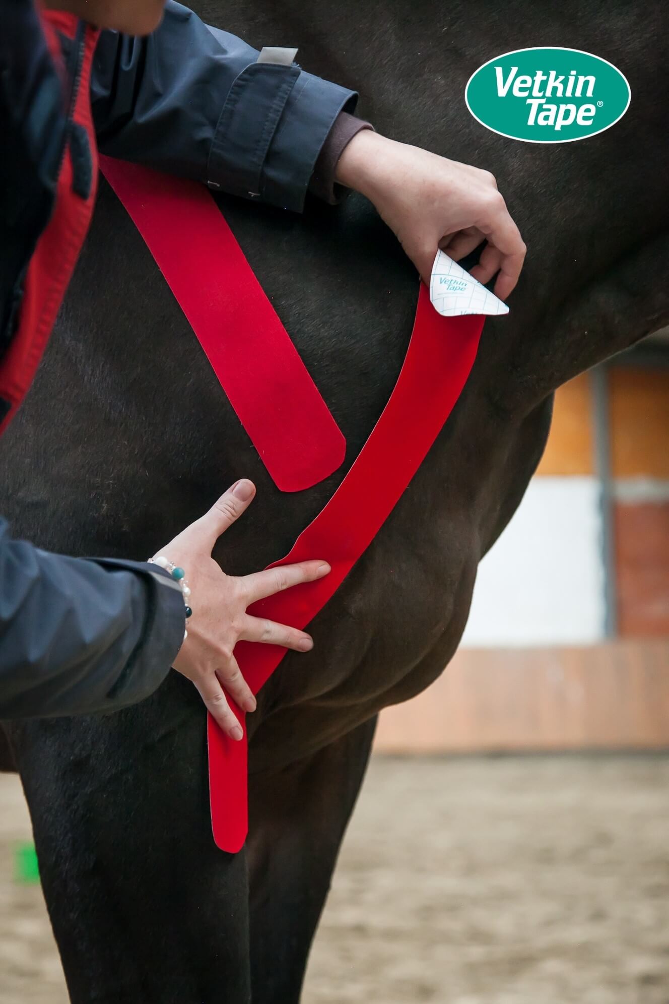 VetkinTape® Equine<span><br> Intro Offer</span> - Image 11