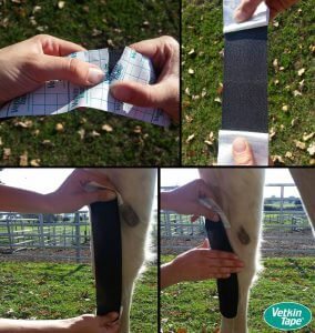 Step 1 - angular limb deformity taping