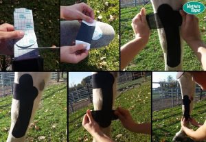 Step 2 - angular limb deformity taping