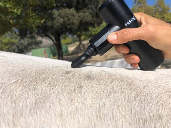 Mini Massage Gun PRO - Image 6