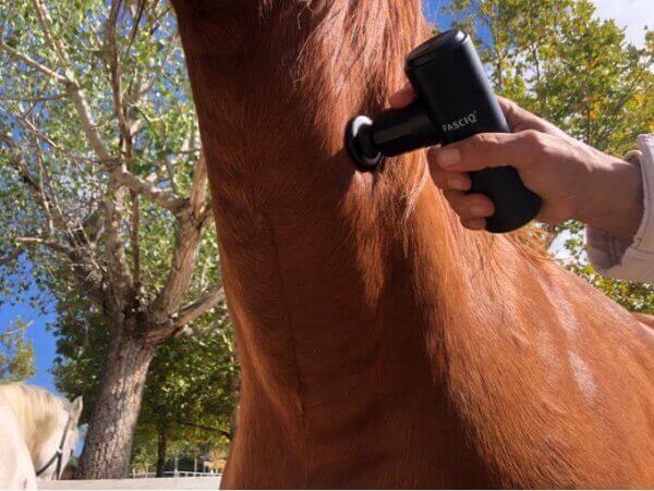 Mini Massage Gun PRO - Image 3