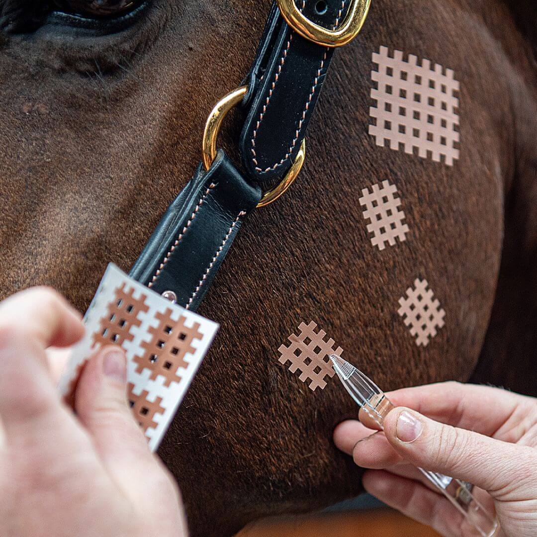 CrossLinq® - VET, cross tape for animals - Image 2