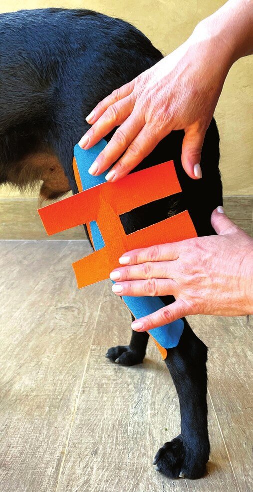 Laterales und mediales Stütztape am Bein positionieren