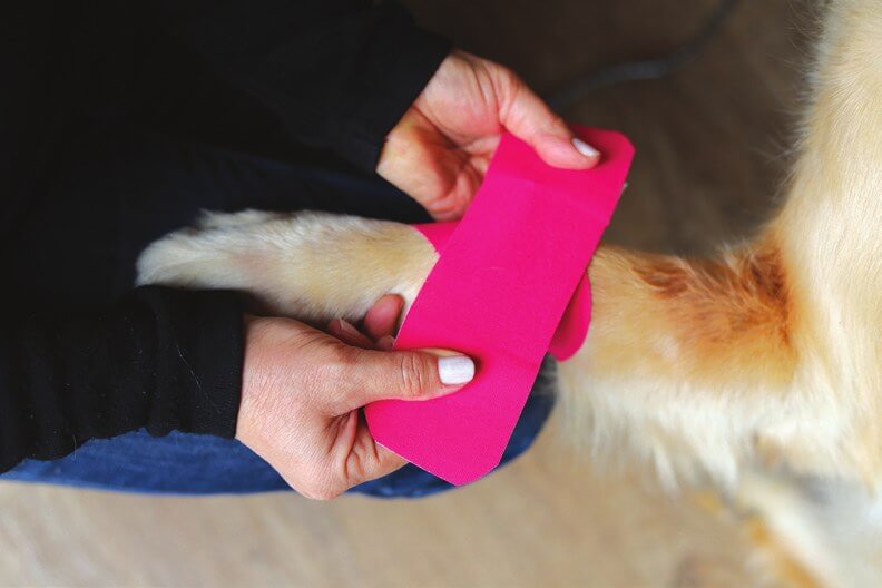 Zweiter I-Streifen quer angelegt, um die X-Form zu vervollständigen
