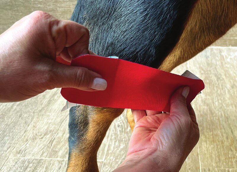 Tape vor der Anwendung am Hundebein abmessen